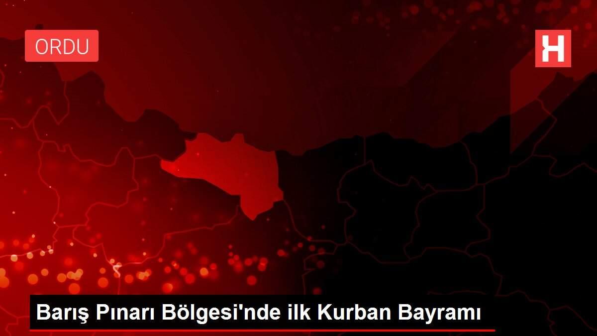 Barış Pınarı Bölgesi'nde ilk Kurban Bayramı Barış Pınarı Bölgesi'nde ilk Kurban Bayramı