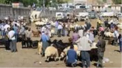 Diyarbakır'daki kurbanlık pazarlarında tedbirler hiçe sayıldı Diyarbakır'daki kurbanlık pazarlarında tedbirler hiçe sayıldı
