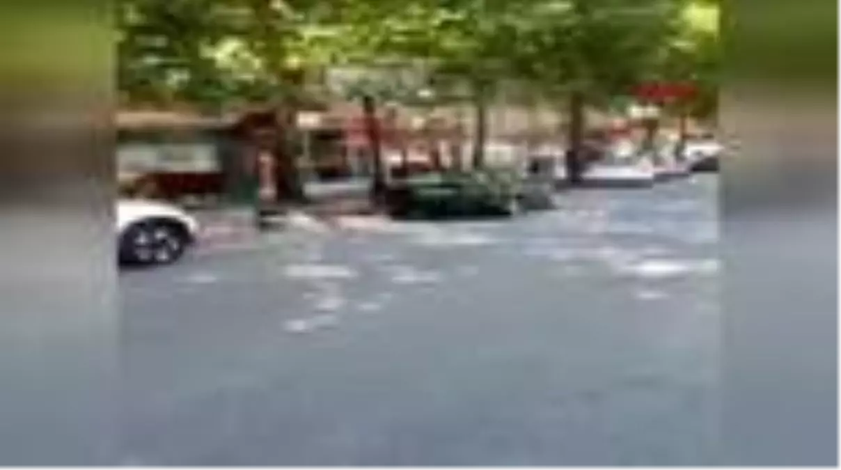 Kaçan kurbanlık boğa güçlükle yakalandı