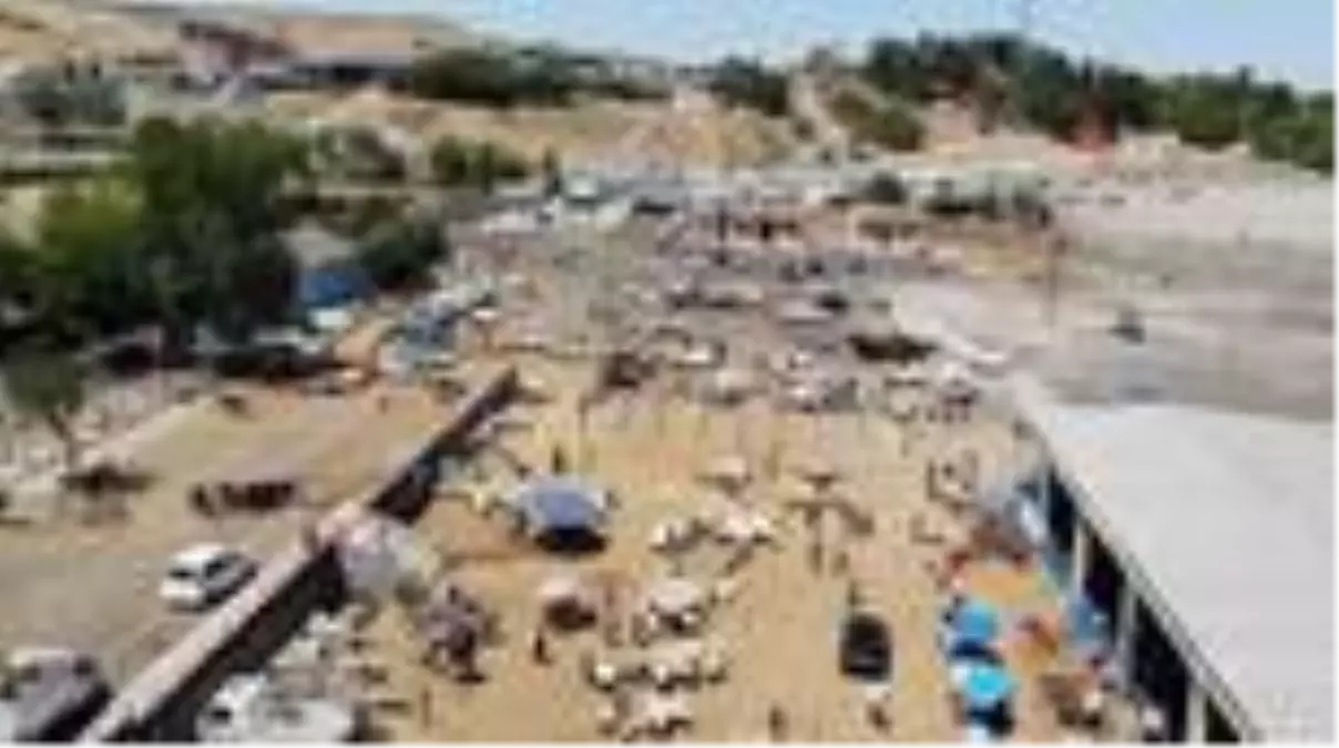 Korona virüs kurbanlıkları da etkileri