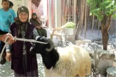 Rahme Teyze, polisin hediye ettiği kurbanı gözyaşlarıyla kestirdi Rahme Teyze, polisin hediye ettiği kurbanı gözyaşlarıyla kestirdi