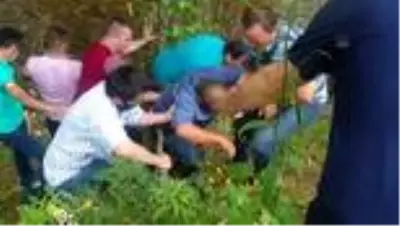 Tarım aracı dere yatağına devrildi: 3 yaralı - DÜZCE Tarım aracı dere yatağına devrildi: 3 yaralı - DÜZCE