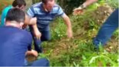 Tarım aracı dere yatağına devrildi: 3 yaralı - DÜZCE Tarım aracı dere yatağına devrildi: 3 yaralı - DÜZCE