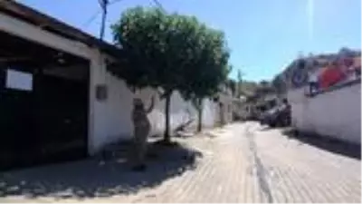 Yaşlı çift, kapılarına yazı astı: Koronavirüs nedeniyle bayram boyunca misafir kabul etmiyoruz Yaşlı çift, kapılarına yazı astı: Koronavirüs nedeniyle bayram boyunca misafir kabul etmiyoruz