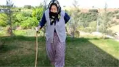 100 yaşındaki Rukkiye Nine uzun yaşamanın sırrını anlattı: Don yağı tercih ederim