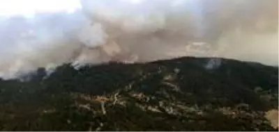 Aydın'dan Muğla'ya sıçrayan yangın devam ediyor Aydın'dan Muğla'ya sıçrayan yangın devam ediyor