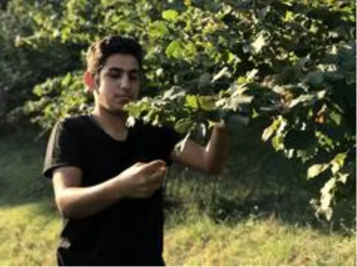 Bayramı evlerine bin 285 kilometre uzaklıktaki fındık ...