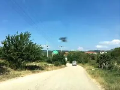 Bilecik'te 3 ev karantinaya alındı Bilecik'te 3 ev karantinaya alındı