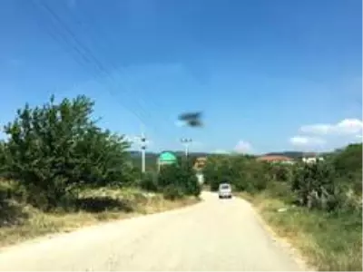 Son dakika haberi | Bilecik'te 3 ev karantinaya alındı Son dakika haberi | Bilecik'te 3 ev karantinaya alındı