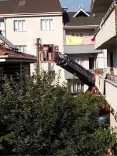 Son dakika... Çatıya sıkışan ebabil kuşunu itfaiye kurtardı Son dakika... Çatıya sıkışan ebabil kuşunu itfaiye kurtardı