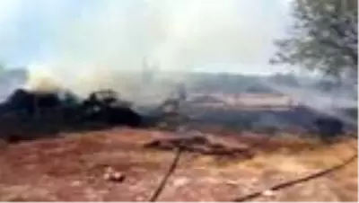 Çıkan yangında 2 küçükbaş hayvan telef oldu Çıkan yangında 2 küçükbaş hayvan telef oldu