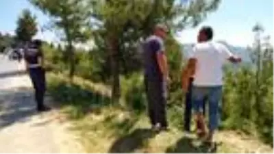Gezintiye çıkan kuzenlerin otomobili uçuruma yuvarlandı: 5 yaralı Gezintiye çıkan kuzenlerin otomobili uçuruma yuvarlandı: 5 yaralı