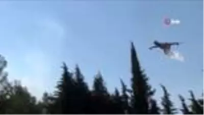 İzmir'de orman yangını İzmir'de orman yangını