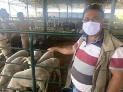 Bayramın ikinci gününde küçükbaş kurbanlıkların fiyatı yarı yarıya düştü Bayramın ikinci gününde küçükbaş kurbanlıkların fiyatı yarı yarıya düştü