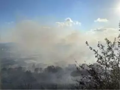 Son dakika 3. sayfa: Maltepe'de askeri alanda çıkan yangın kontrol altına alındı Son dakika 3. sayfa: Maltepe'de askeri alanda çıkan yangın kontrol altına alındı