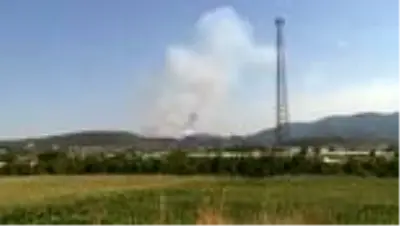 Menderes'te orman yangını (4) Menderes'te orman yangını (4)
