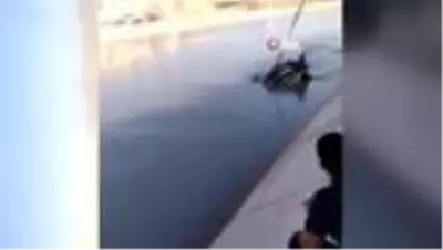 Şanlıurfa'da feci olay...Sulama kanalına devrilen otomobildeki biri çocuk 2 kişi boğuldu