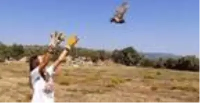 Tedavisi tamamlanan yavru baykuş doğaya salındı Tedavisi tamamlanan yavru baykuş doğaya salındı