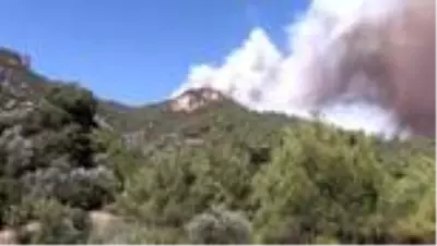 Turgutlu'daki orman yangını devam ediyor Turgutlu'daki orman yangını devam ediyor