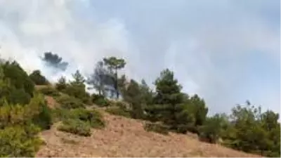 2 farklı noktada çıkan orman yangınına havadan ve karadan müdahale ediliyor. 2 farklı noktada çıkan orman yangınına havadan ve karadan müdahale ediliyor.