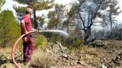 2 farklı noktada çıkan orman yangınına havadan ve karadan müdahale ediliyor. 2 farklı noktada çıkan orman yangınına havadan ve karadan müdahale ediliyor.