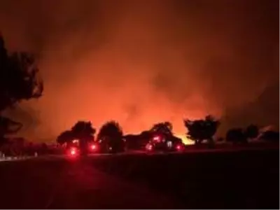 ABD'de 20 bin dönümden fazla ormanlık alan küle döndü ABD'de 20 bin dönümden fazla ormanlık alan küle döndü