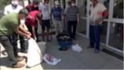 ADANA Elektrik kesintisi kurban etlerinin, çöpe atılmasına neden oldu ADANA Elektrik kesintisi kurban etlerinin, çöpe atılmasına neden oldu