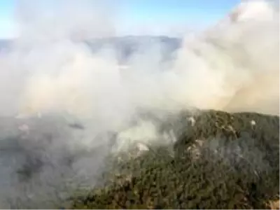 Son Dakika | Aydın'da başlayarak Muğla'ya ulaşan orman yangını kontrol altına alındı Son Dakika | Aydın'da başlayarak Muğla'ya ulaşan orman yangını kontrol altına alındı