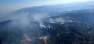 Son Dakika | Aydın'da başlayarak Muğla'ya ulaşan orman yangını kontrol altına alındı Son Dakika | Aydın'da başlayarak Muğla'ya ulaşan orman yangını kontrol altına alındı