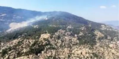 Son Dakika | Aydın'da başlayarak Muğla'ya ulaşan orman yangını kontrol altına alındı Son Dakika | Aydın'da başlayarak Muğla'ya ulaşan orman yangını kontrol altına alındı