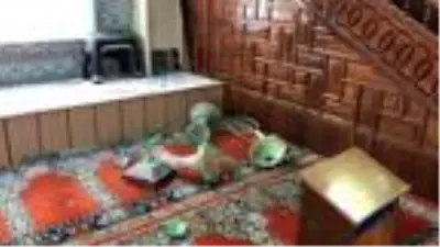 Sinir krizi geçiren genç kız, cami kapısını tekmeleyip, vazoları kırdı Sinir krizi geçiren genç kız, cami kapısını tekmeleyip, vazoları kırdı