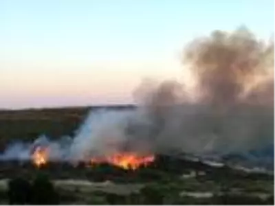 Bozcaada'da makilik alanda yangın Bozcaada'da makilik alanda yangın