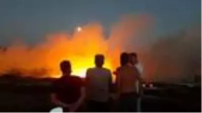 Bozcaada'da makilik alanda yangın (2) Bozcaada'da makilik alanda yangın (2)