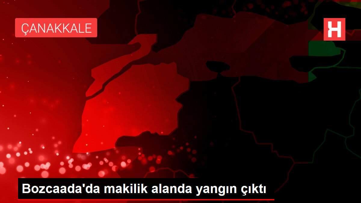 Bozcaada'da makilik alanda yangın çıktı