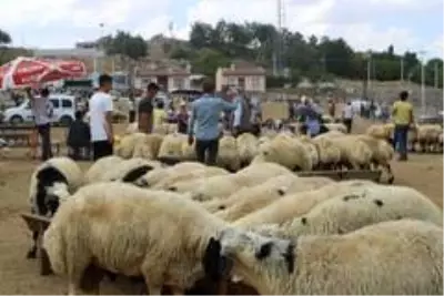Diyarbakır'da kurbanlık fiyatları bayramın 3'üncü gününde yüzde 30 düştü