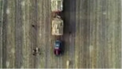 (DRONE) Konya Ovası'nda balya işçilerinin zorlu ekmek mücadelesi (DRONE) Konya Ovası'nda balya işçilerinin zorlu ekmek mücadelesi