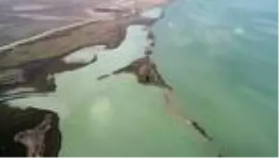(DRONE) Türkiye'nin büyüleyen güzelliği: Kuş cennetleri (3) (DRONE) Türkiye'nin büyüleyen güzelliği: Kuş cennetleri (3)
