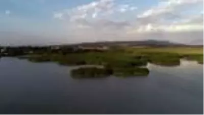 (DRONE) Türkiye'nin büyüleyen güzelliği: Kuş cennetleri (2) - VAN/KOCAELİ/ (DRONE) Türkiye'nin büyüleyen güzelliği: Kuş cennetleri (2) - VAN/KOCAELİ/