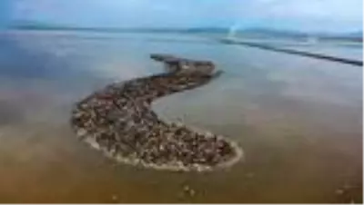 (DRONE) Türkiye'nin büyüleyen güzelliği: Kuş cennetleri(1) - İZMİR/BALIKESİR/ (DRONE) Türkiye'nin büyüleyen güzelliği: Kuş cennetleri(1) - İZMİR/BALIKESİR/