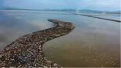 (DRONE) Türkiye'nin büyüleyen güzelliği: Kuş cennetleri(1) - İZMİR/BALIKESİR/ (DRONE) Türkiye'nin büyüleyen güzelliği: Kuş cennetleri(1) - İZMİR/BALIKESİR/