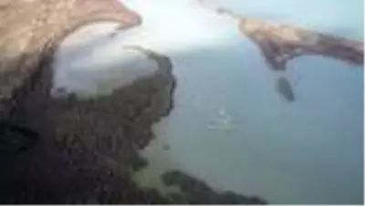 (DRONE) Türkiye'nin büyüleyen güzelliği: Kuş cennetleri (3) (DRONE) Türkiye'nin büyüleyen güzelliği: Kuş cennetleri (3)