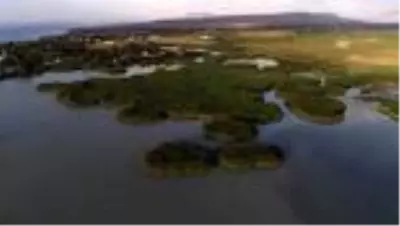 (DRONE) Türkiye'nin büyüleyen güzelliği: Kuş cennetleri (2) - VAN/KOCAELİ/