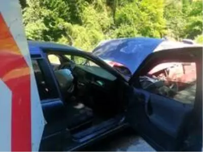 Düzce'de otomobiller kafa kafaya çarpıştı: 3 yaralı Düzce'de otomobiller kafa kafaya çarpıştı: 3 yaralı