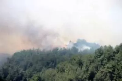Ege yangınlarla boğuşuyor Ege yangınlarla boğuşuyor