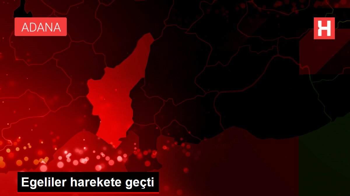Egeliler harekete geçti