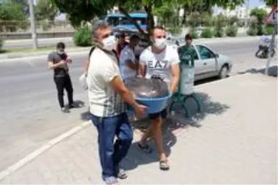 Elektrikler kesildi, kurban etleri bozuldu Elektrikler kesildi, kurban etleri bozuldu