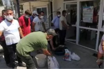 Elektrikler kesildi, kurban etleri bozuldu Elektrikler kesildi, kurban etleri bozuldu