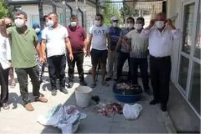 Elektrikler kesildi, kurban etleri bozuldu Elektrikler kesildi, kurban etleri bozuldu