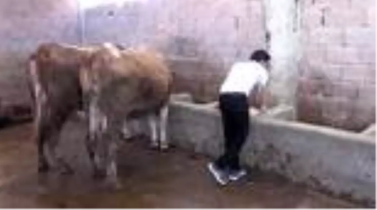 Engelli kuzenler İŞKUR projesiyle hayalini kurdukları işe kavuştu