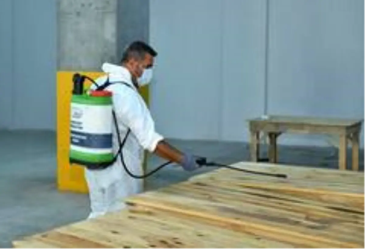 Esenyurt Belediyesi haşereyle mücadele çalışmalarını artırdı